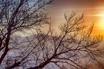 sunset on hilltops in the mist