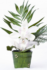 Kleines weihnachtliches Orchideengesteck