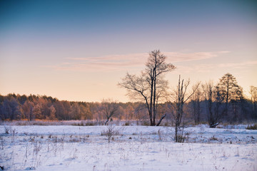 Winter dawn. Sunrise in winter morning. Snow landscape