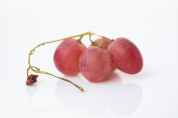Glowing ripe berries of red grapes
