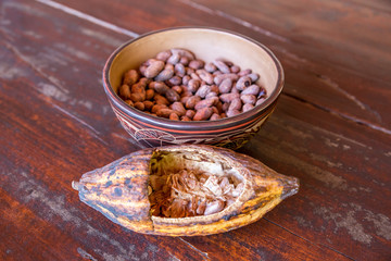 geöffnete Frucht und Samen des Kakaobaums