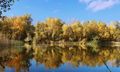 The lake in the bright autumn day