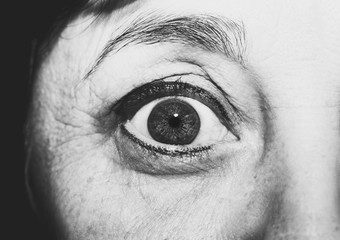 Fototapeta premium insightful look brown eyes