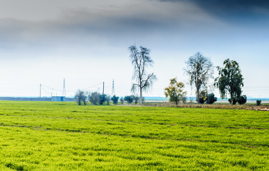 Iraqi countryside in winter season with open green field in foreground