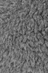 Raw Merino Sheep Wool Macro Closeup, Large Detailed Grey Textured Pattern Copy Space Background, Vertical Gray Texture Studio Shot