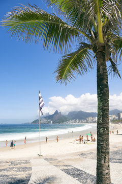 Ipanema Beach Rio de Janeiro view with palm tree shadow at Arpoador