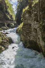 Vintgar gorge and rapid river Radovna.