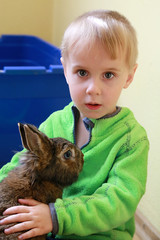 Portrait of happy boy holding fluffy rabbit