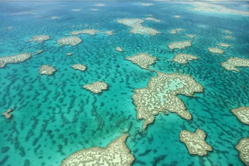 Foto auf Glas Luftaufnahme des Great Barrier Reef © pics721