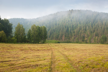 Morning fog in the forest, Urals, Russia