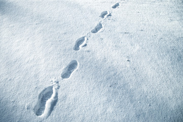 Shoe prints in fresh snow on snowy meadow. Blue color filter used.