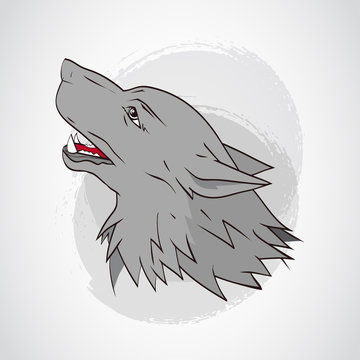 Vector illustration with wolf's head.