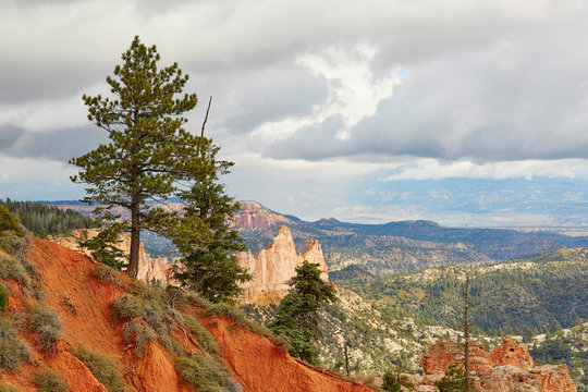 Scenic landscape in Bryce Canyon, Utah, USA