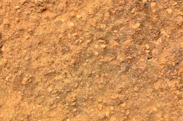 Close up soil texture background.