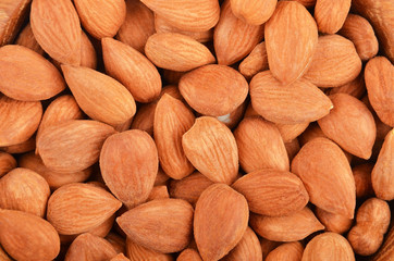 Dried apricot kernel