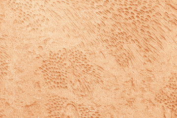 texture of concrete floor walkway