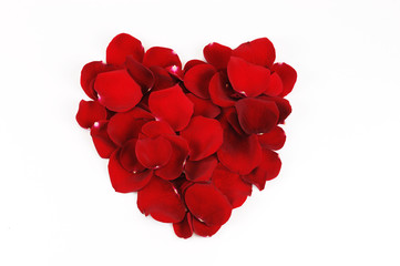 red heart shape by red rose petals