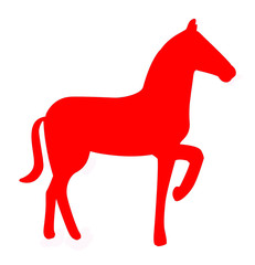 horse on white background