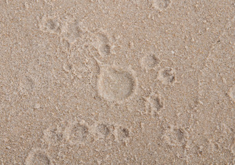Fototapeta na wymiar Pattern of Drop on Sand Texture