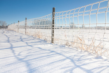 Fence Covered in Hoarfrost