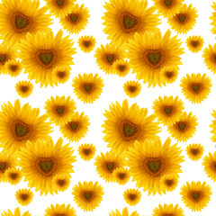 seamless pattern flower sunflower