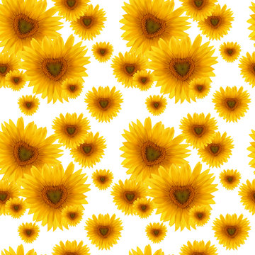 seamless pattern flower sunflower