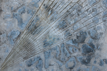 Cement wall background texture