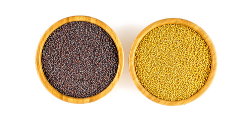Aerial view of yellow mustard and black mustard against white ba