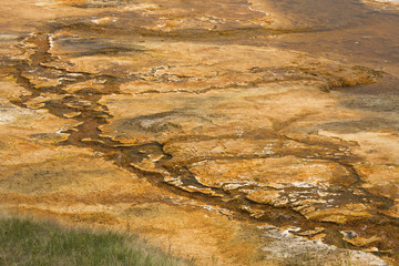Orange rivulets in a hydrothermal area of Mammoth Hot Springs, Wyoming.