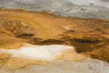 Orange rivulets in a hydrothermal area of Mammoth Hot Springs, Wyoming.