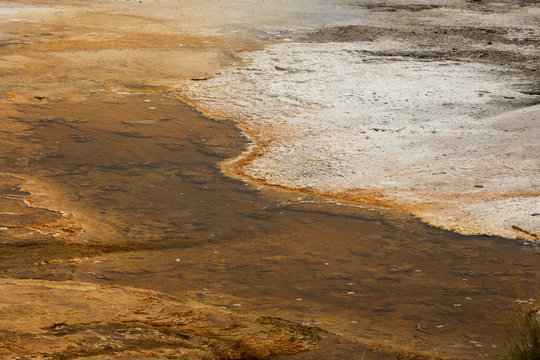 Orange rivulets in a hydrothermal area of Mammoth Hot Springs, Wyoming.