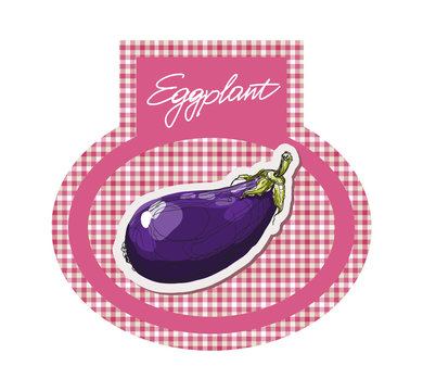 vector hand drawing purple eggplant