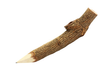 Branch pencil on white background