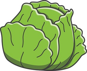 Cabbage doodle illustration