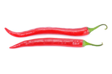 chili pepper isolated on a white background
