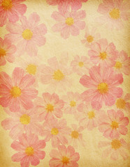 vintage  paper  with  cosmea flowers