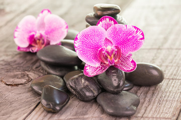 Phalaenopsis orchids and black stones on weathered wood background 