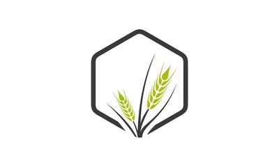 abstract plant company logo