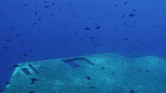 Divers exploring Zenobia shipwreck near Paphos Cyprus
