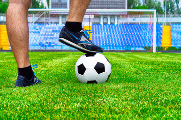 man preparing to hit the ball on the green lawn of the stadium