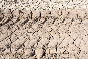 Cracked soil.
