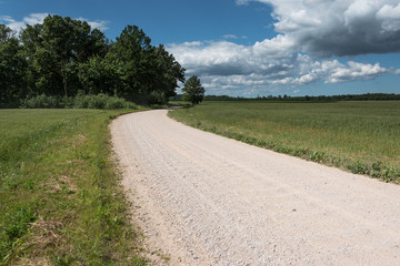 Fototapeta na wymiar Latvian countryside.
