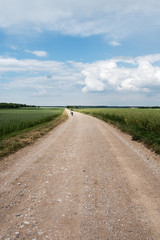 Nice summer day in latvian countryside.