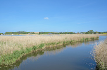 Fototapeta na wymiar am Neuensiener See nahe Sellin auf der Insel Rügen,Mecklenburg-Vorpommern,Deutschland