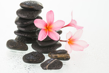 Obraz na płótnie Canvas Plumeria flowers and black stones with water drops close-up
