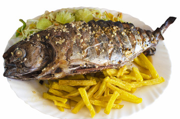 fish dish a tuna fried on a white plate 