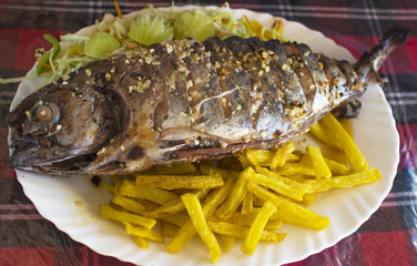 fish dish a tuna fried on a white plate 