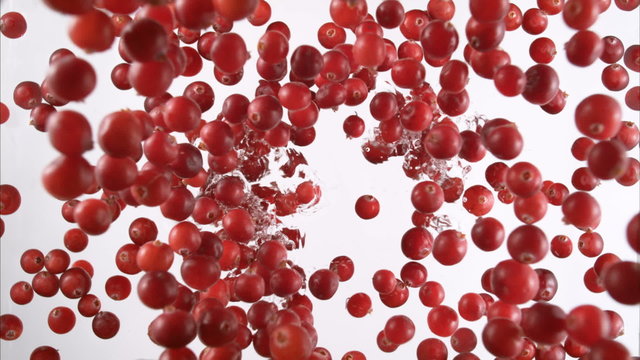 Cranberries Splashing into Water. Slow Motion.