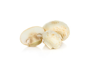 Champignon Isolated on White Background