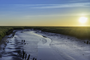 Naturschutzpark Wattenmeer #2